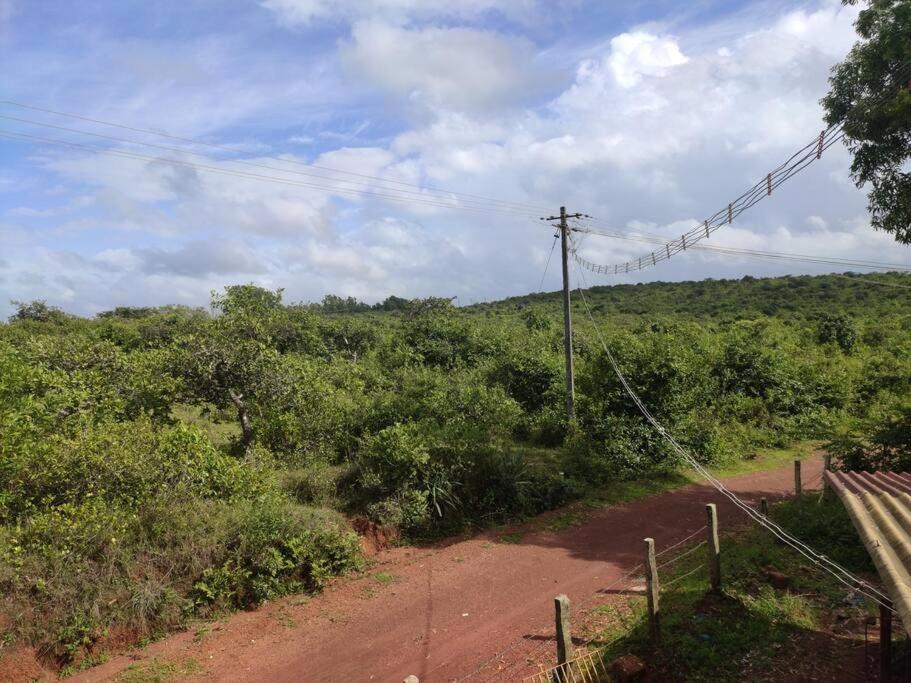 Kamanabillu Homestay, For Jog Falls Travellers Siddapur Экстерьер фото