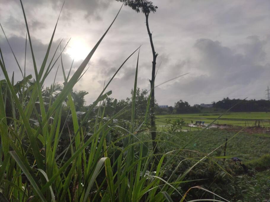 Kamanabillu Homestay, For Jog Falls Travellers Siddapur Экстерьер фото
