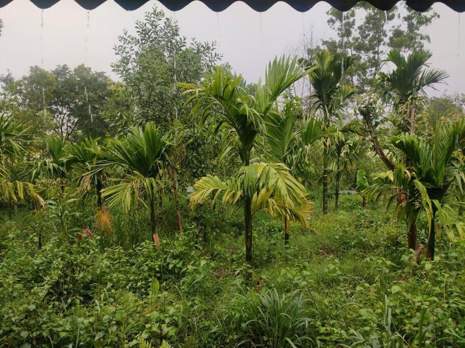 Kamanabillu Homestay, For Jog Falls Travellers Siddapur Экстерьер фото